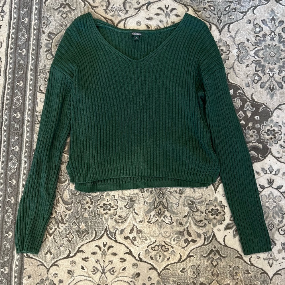 Wild Fable green sweater top